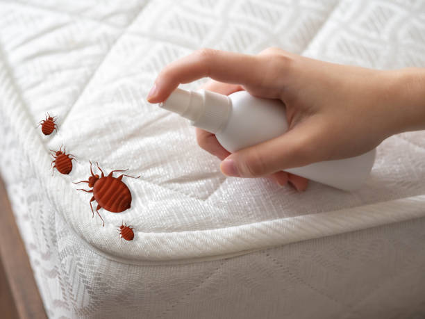 Best Real Estate Pest Inspections  in Somerdale, NJ